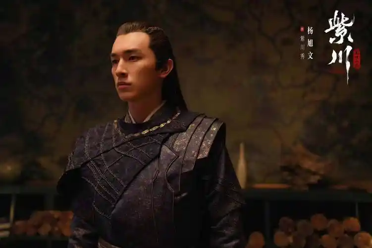 《紫川》空降播出好评满满 杨旭文反差萌诠释权谋将军 - acfun弹幕