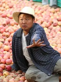 李保国剧情简介