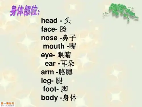 nose -鼻子 mouth -嘴 eye- 眼睛 ear -耳朵 arm -胳膊 leg- 腿 foot