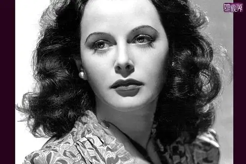 sharks teeth 的喜欢