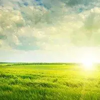 美丽的大草原阳光风景头像_微信头像图片大全