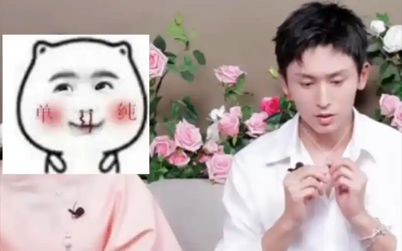 张哲瀚 老婆贴贴_哔哩哔哩_bilibili