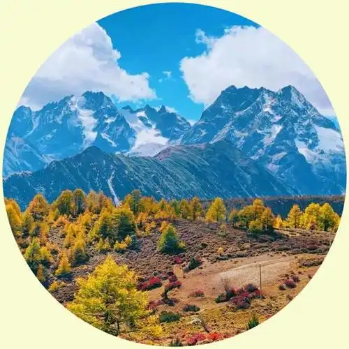 好看的头像风景(好看的头像风景小清新)-天晟网