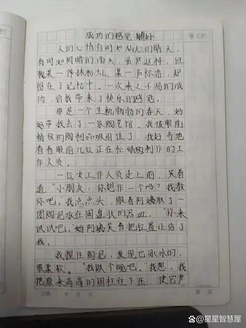 分享作文一一成功的感觉真好