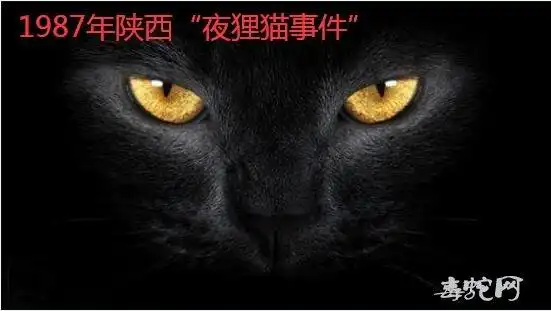 揭秘1987年陕西夜狸猫事件整个村庄人一夜消失