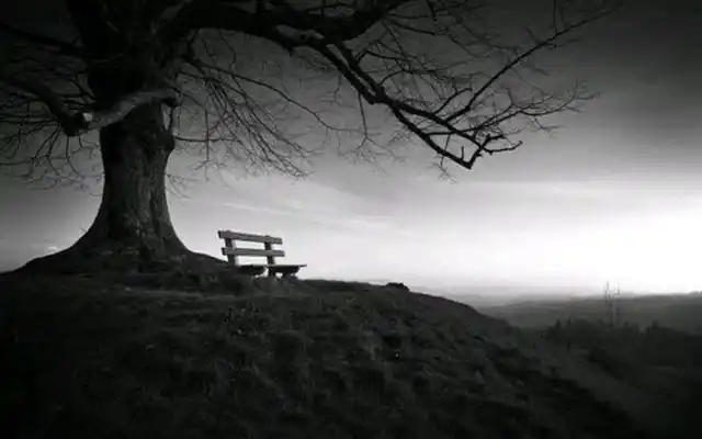 我先来:孤舟蓑笠翁,独钓寒江雪.