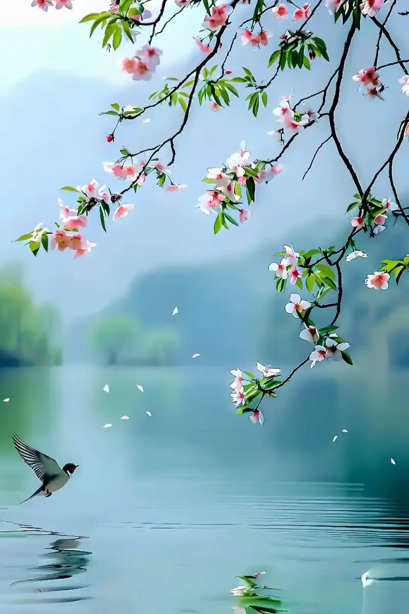 赏花听歌美景如画 #美在山水间 #淡淡人生静静过 #风景如画的地方