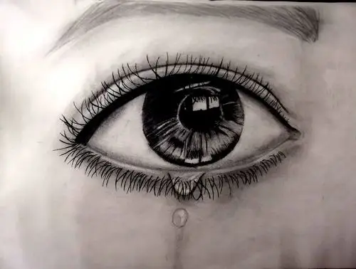 眼睛|纯艺术|绘画|觉世俗味 - 临摹作品 - 站酷 (zcool)