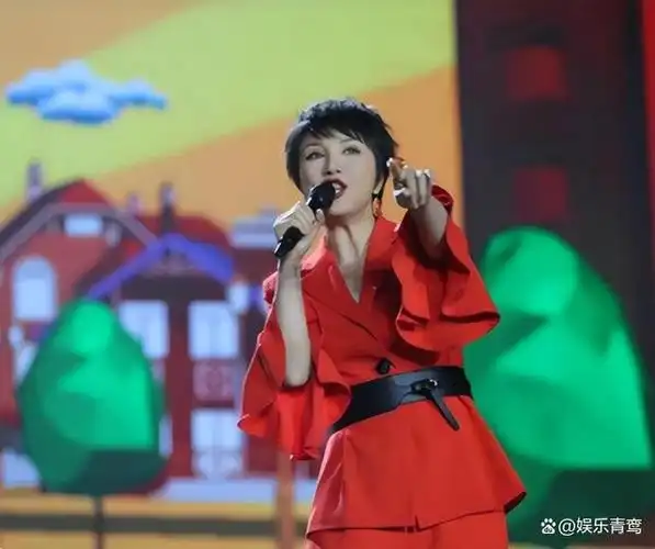 在林萍的歌唱生涯中,她凭借优秀的表现赢得了诸多奖项.