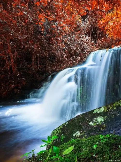 师曰:青山绿水.曰:见后如何?师曰:绿水青山."