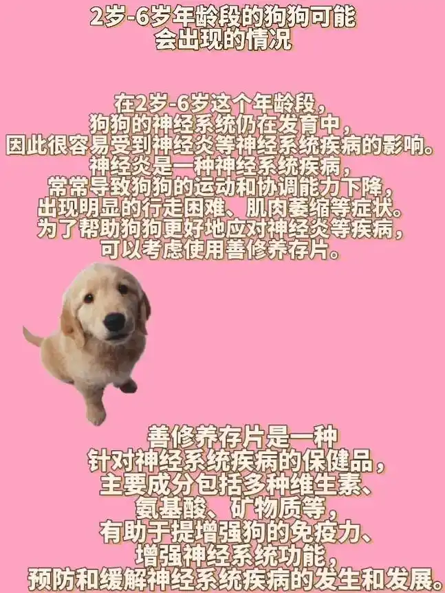 2岁-6岁年龄段的狗狗可能会出现的情况.2岁-6岁年龄段的狗 - 抖音