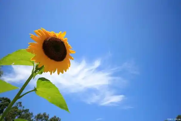 如何做一个对生活,对工作都积极向上的人