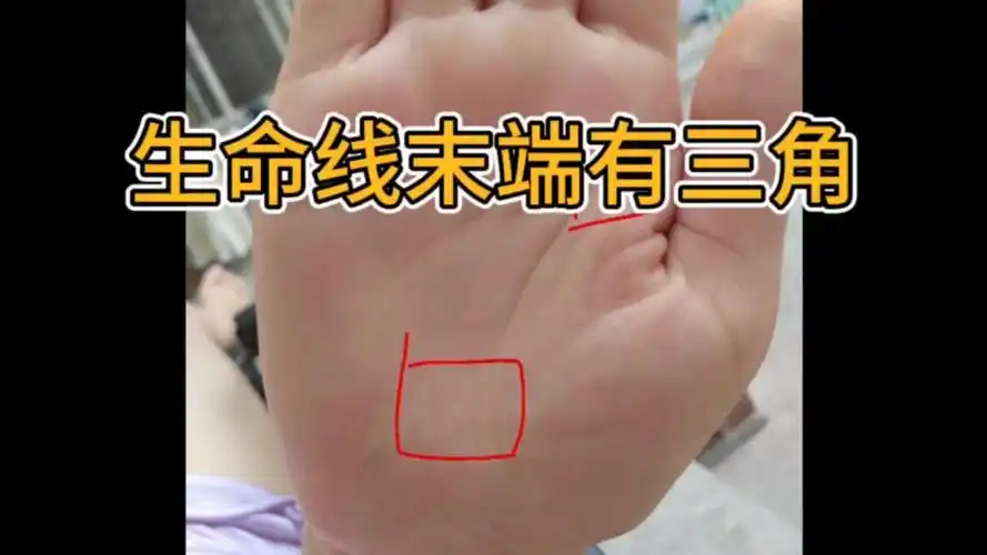 识人有术-生命线末端三角