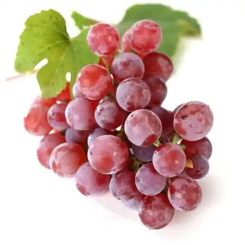 秘鲁鲜葡萄进口报关,蛇口港葡萄进口清关代理-258jituan.