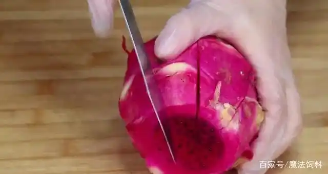 这才是火龙果正确切法,好看好吃不脏手,方法非常简单