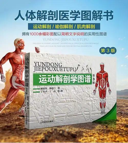 运动解剖学图谱第3版人体解剖学教程肌肉塑造体育理论与教学正版书籍
