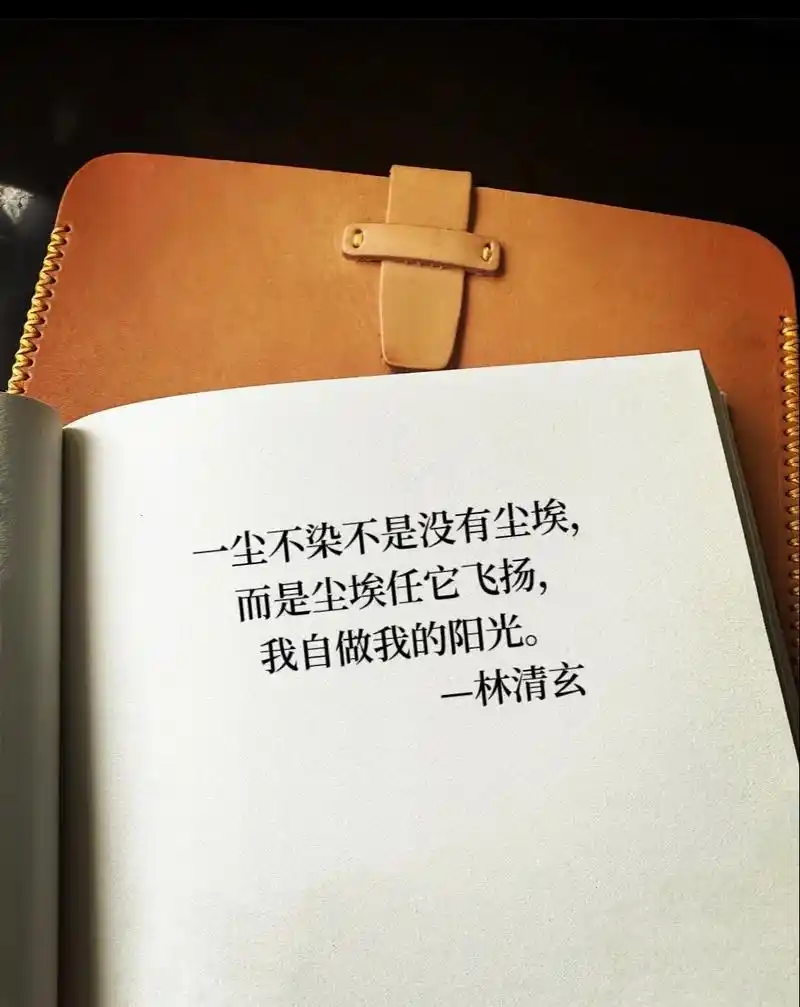读林清玄.一尘不染不是没有尘埃,而是尘埃任它飞扬,我自做我的 - 抖音