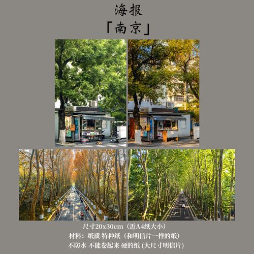 海报「南京」渲染翌嘉原创摄影梧桐 像白马弄堂喜乐非某某周边