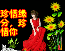 珍惜缘分珍惜你表情包