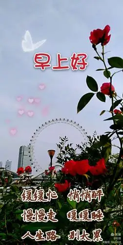 早安图片 - 美篇