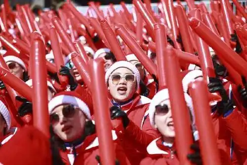 朝鲜拉拉队助阵平昌冬奥会高山滑雪男子回转比赛