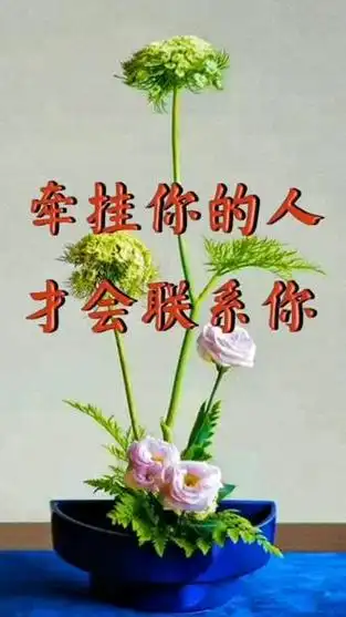 感谢彼此牵挂的贵友们早上好