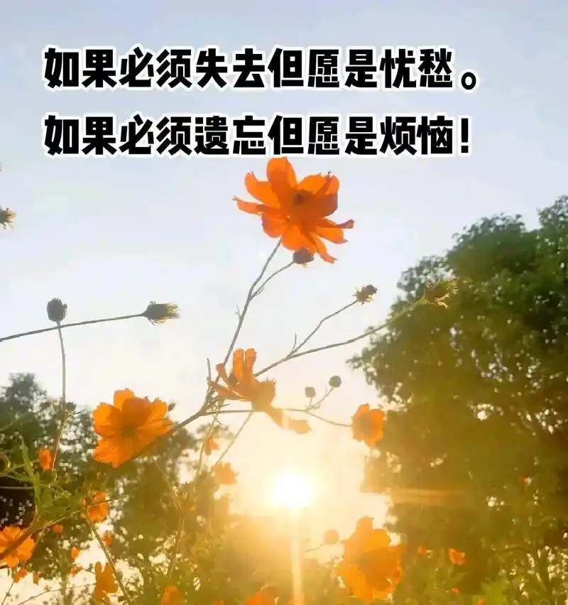 心若阳光,生活才能斑斓,人若简单,人生才能清澈,不求所有的日 - 抖音