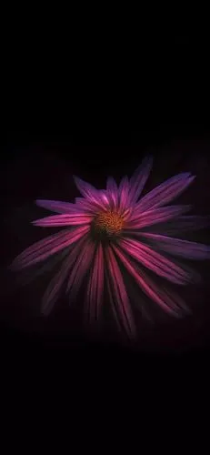 苹果x全面屏最火壁纸黑色个性锁屏壁纸高清