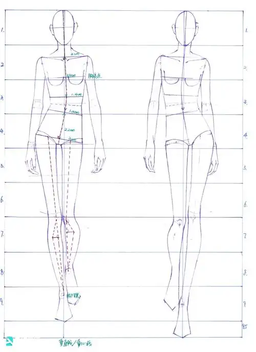 人体比例和动态