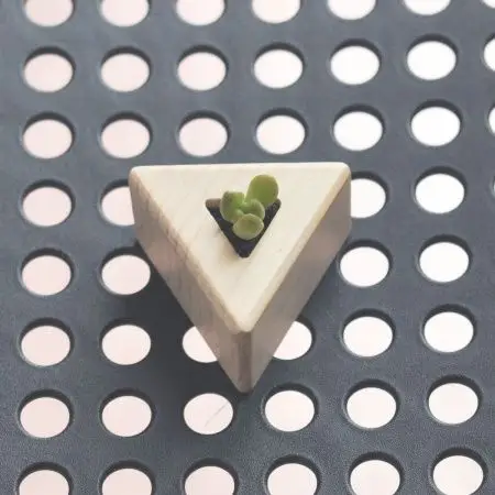 "beecoo/北出"多肉木质花盆(三角形,米色)