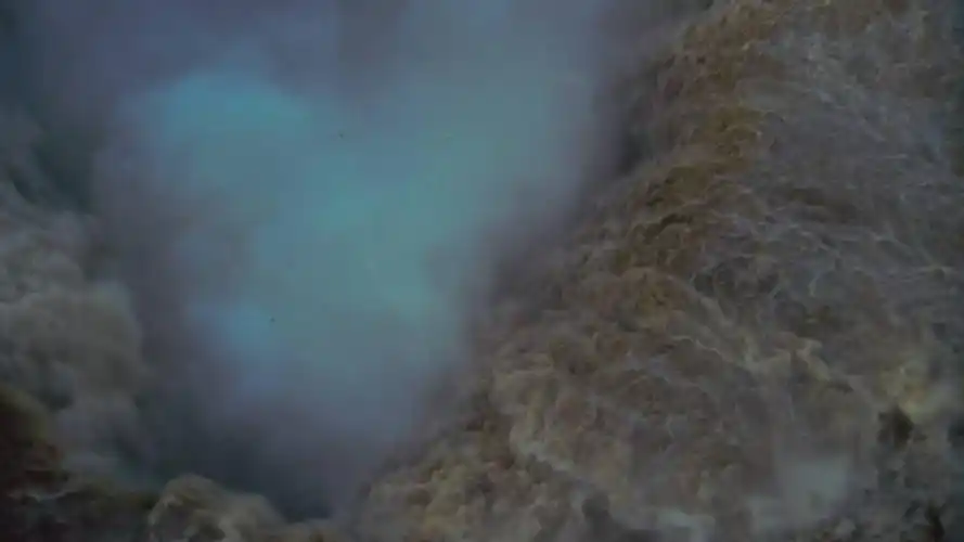 《春光乍泄》里的冷酷仙境与世界尽头