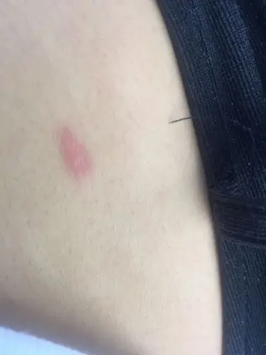 最近家里养了一只小德国牧羊犬,一周回家一次,最近