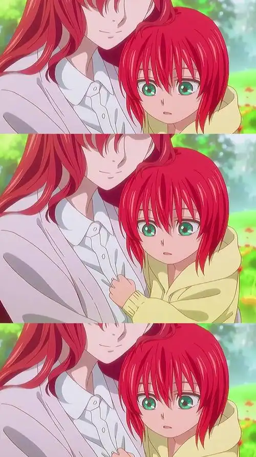 魔法使的新娘没人能理解