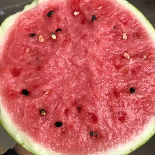 【红瓤黑籽】小羽麒麟瓜,西瓜,红瓤黑籽,瓜瓤脆甜好吃,去水肿降火气