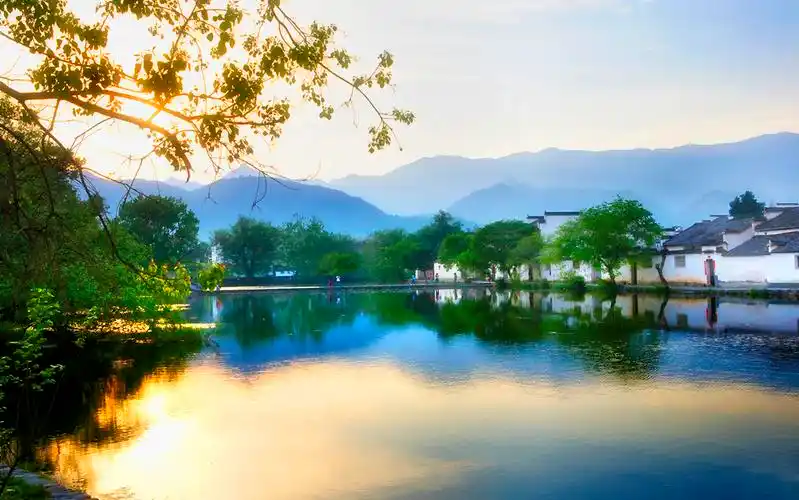 不负春光_风景_poco摄影