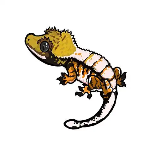 睫角守宫高对比插画|插画|商业插画|z15879228 - 原创作品 - 站酷