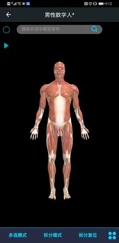 医维度3d人体解剖