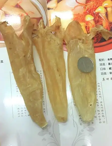 【成记海味】敏鱼肚胶 花胶 黄花筒肚鱼肚水产海鲜干货 23个左右