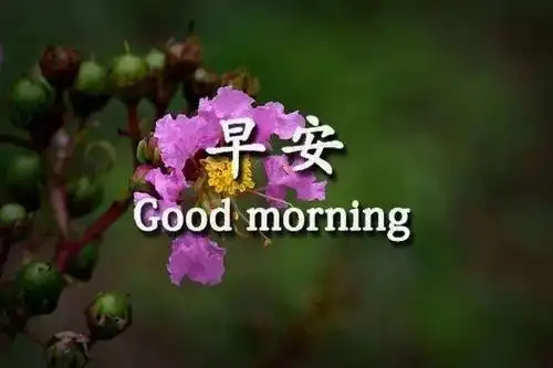 12月21日新的一天温馨早安问候祝福语送给大家暖心的早上好问候图片