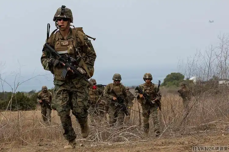 美国海军陆战队实战训练照 m38精确射手步枪已开始列装