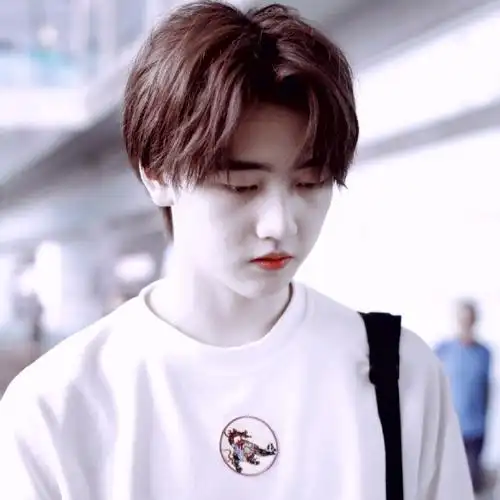 焉栩嘉头像|时欢