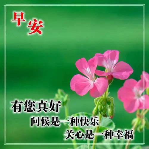 周五早上问候语图片表情大全12张最阳光温暖的早安祝福问候
