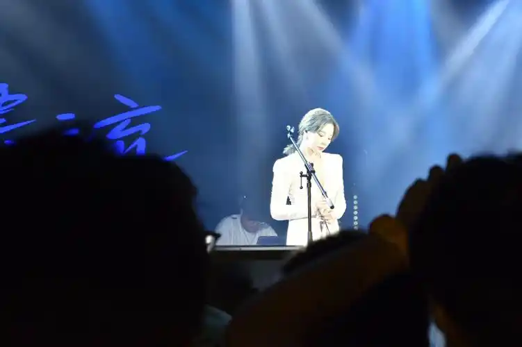 张紫宁广州巡演美照