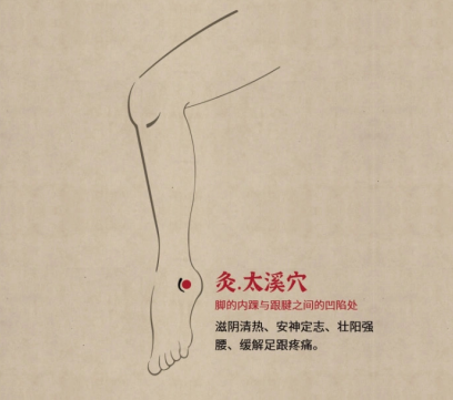 太溪穴属足少阴肾经,也是肾经的输穴和原穴.太,意即甚大,溪,即沟溪.